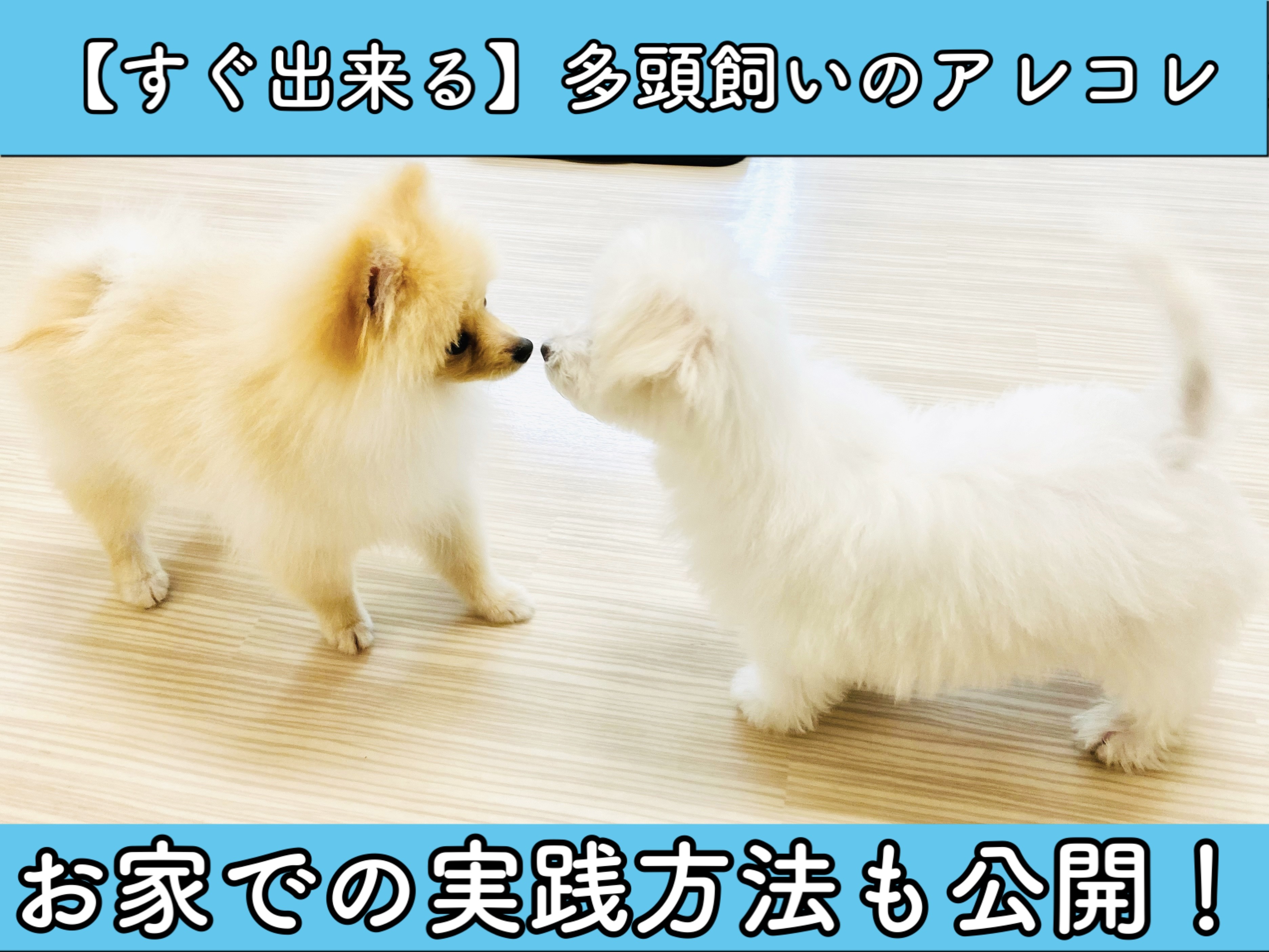 要問い合せ♥️愛しいワンちゃんをお部屋に♥️ハンドペイント　油絵　子犬　多種 0671b2d40085ffbfac07569b3f40a3