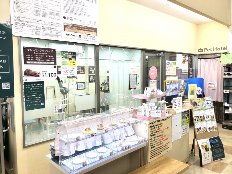 店舗紹介 21年カインズホーム城山店内 ペッツワン城山店 をご紹介 マルワンblog ペットショップ マルワン 小さめ子犬 美形な子猫 初心者安心のサポート
