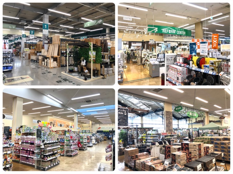 店舗紹介 21年カインズホーム城山店内 ペッツワン城山店 をご紹介 マルワンblog ペットショップ マルワン 小さめ子犬 美形な子猫 初心者安心のサポート