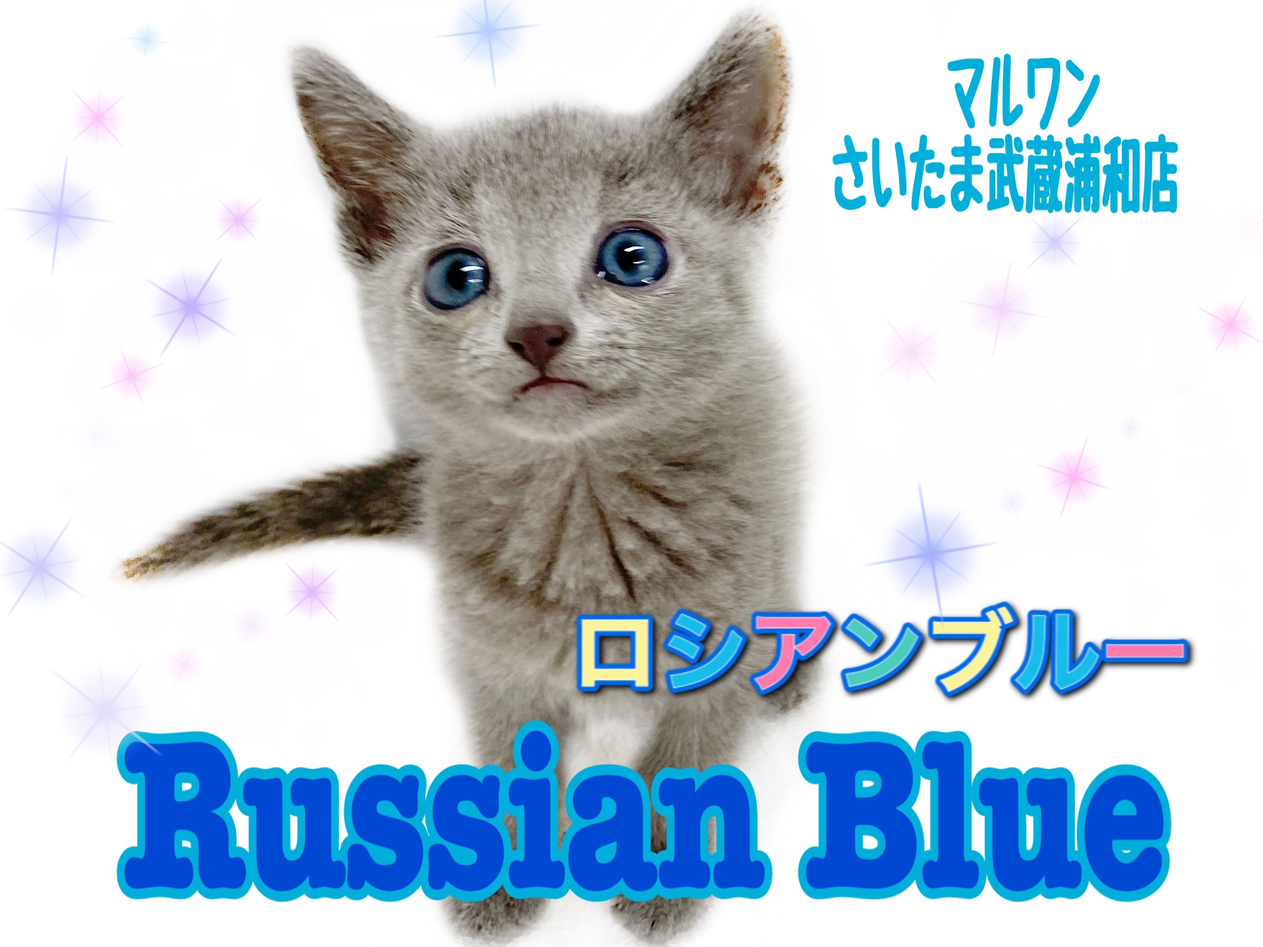 6c0a64239f5f00d51bb3d494ac0814