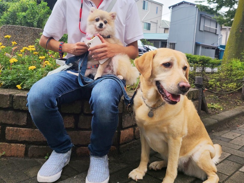 メルと私の愛犬ラブラドールレトリバーのマーブルと3ショット！ | 職場体験レポート - 横浜 白楽店