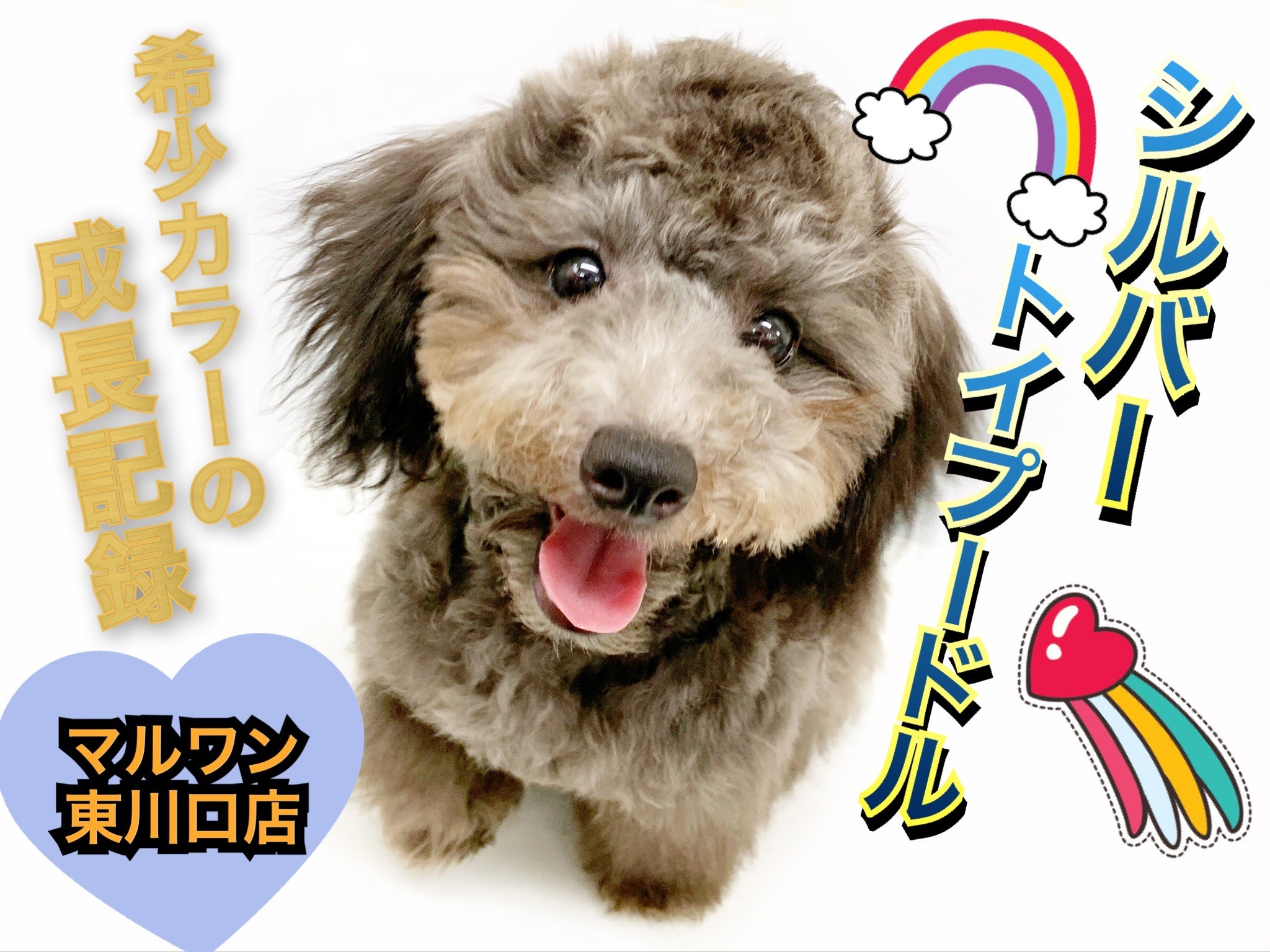 0bc98a4c712fcfcb132c8c1f5f4b09