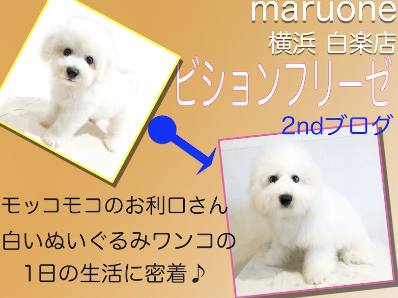 3870d7d71d55acd7d3464a11ca7ed6