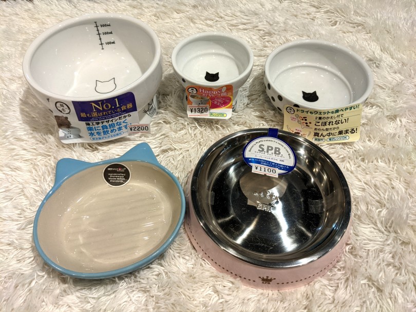 快適にご飯を食べるには、食器選びも重要! | 猫との生活で本当に必要なグッズの選び方とその理由 - 横浜 白楽店
