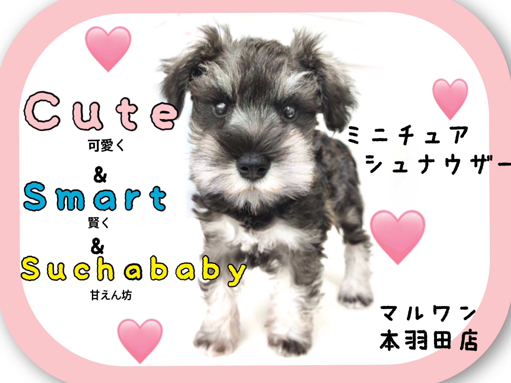 pu様♥️ウエストハイランドホワイトテリア シュナウザー ウェルカムボード