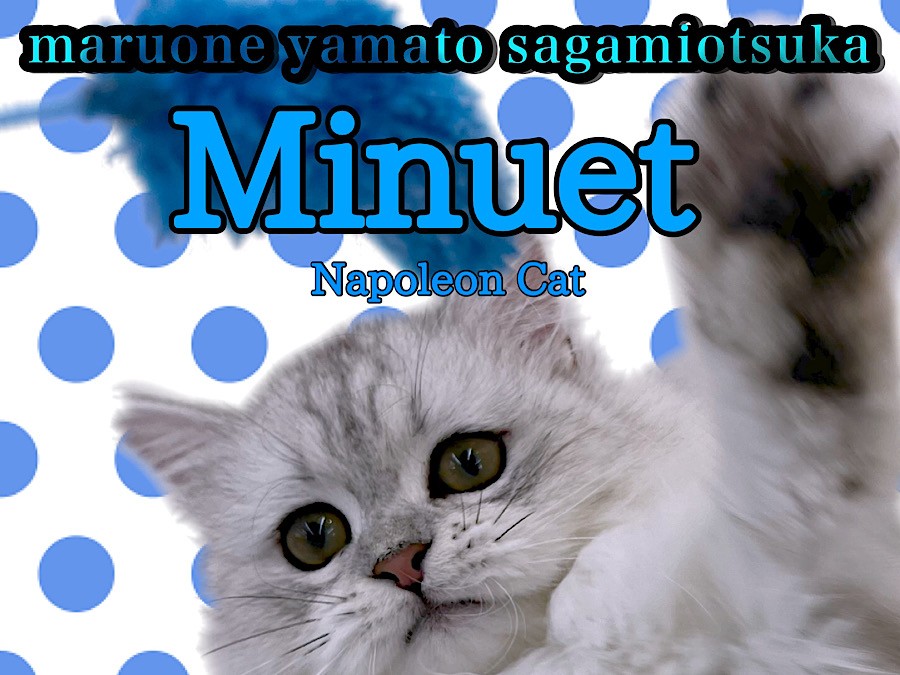 1c5fd02c1216164051f96f241cfc5b