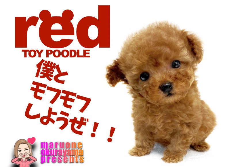 bb83fd5cb625b1ab452a464c61bcbb