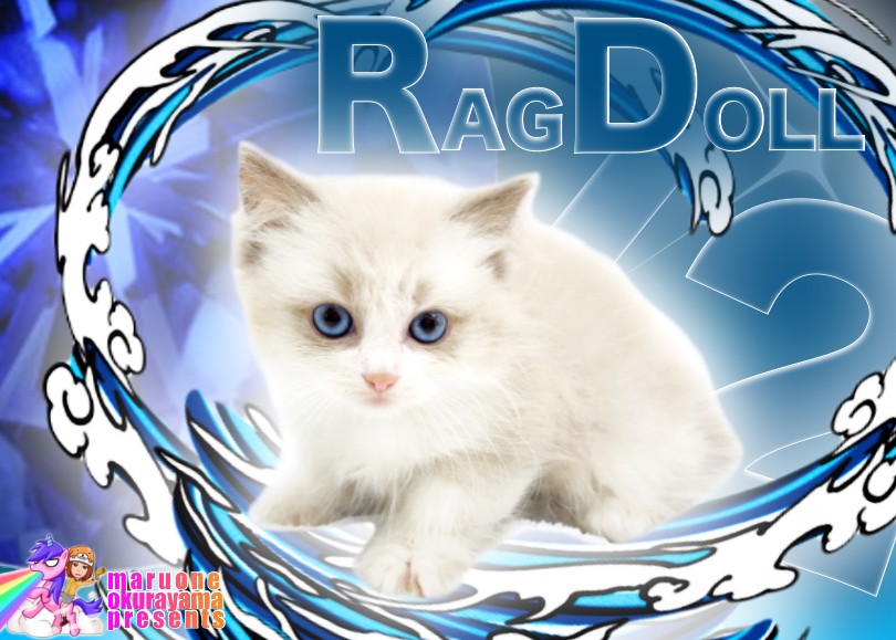 06f6ae5f695d48bcc352a19c0cbbe7