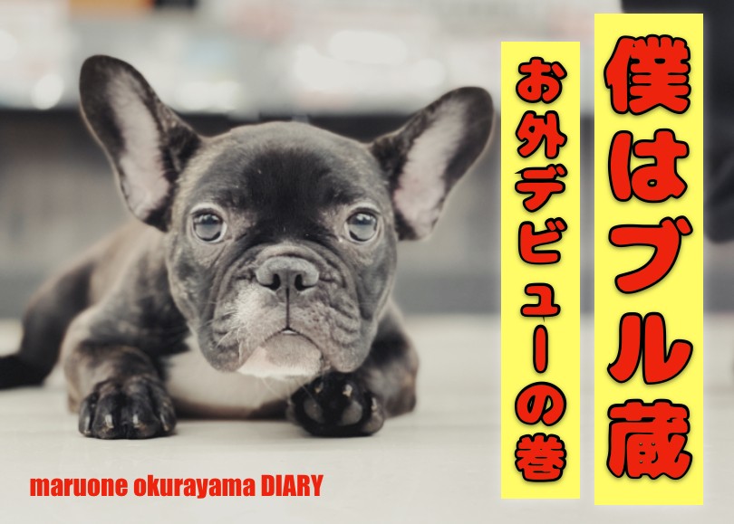 6d9a153aab30fb53bf676b2038849e