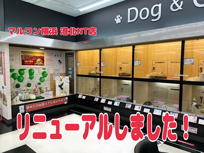 【 リニューアルオープン 】港北NT店がリニューアルオープンしました！