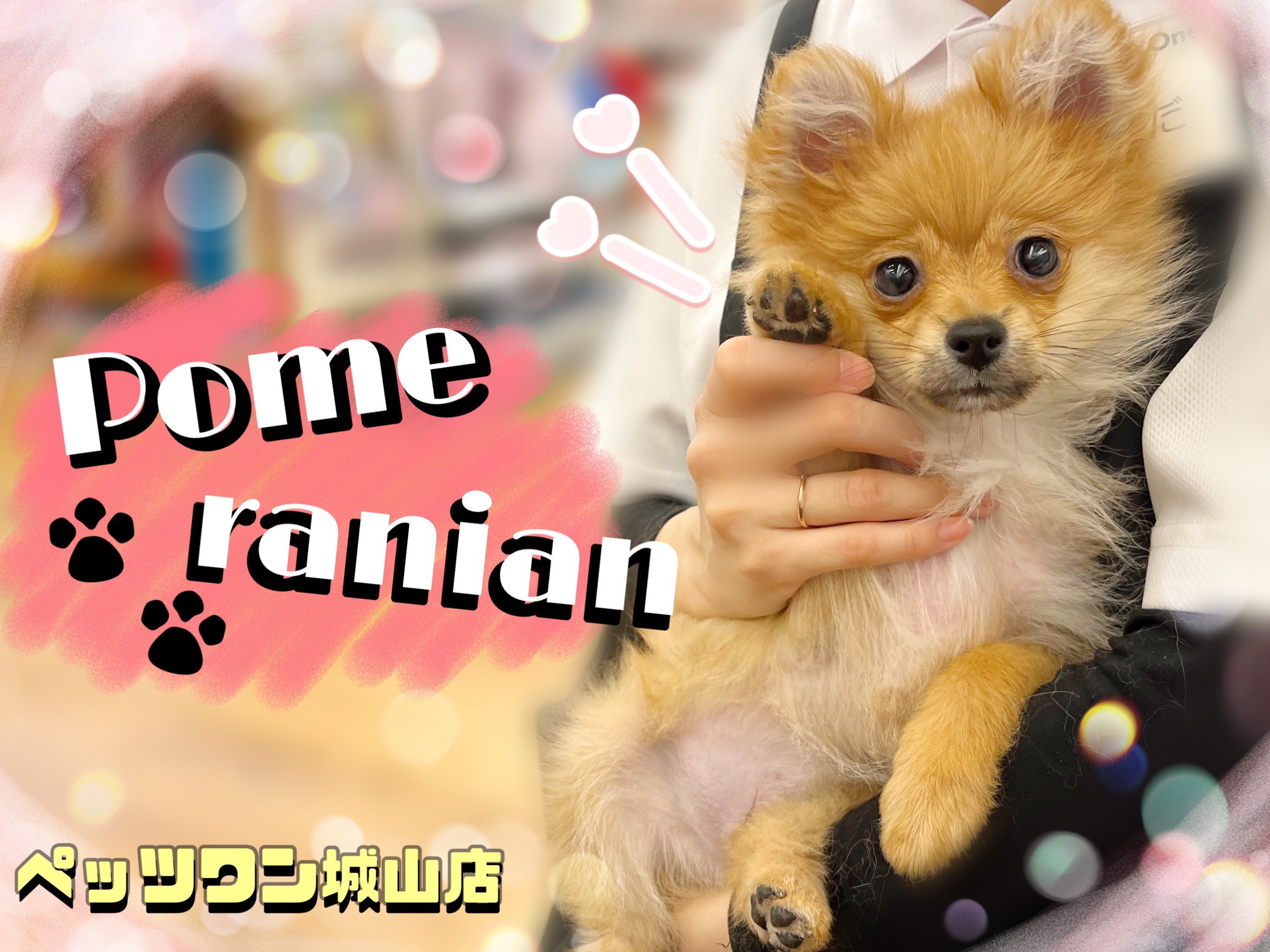 7a3da845f92e4306d7c1c774c2c59e