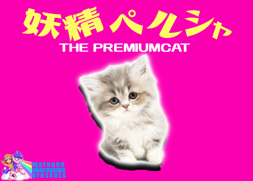 【 プレミアム ペルシャ 】気品溢れるゴージャスな猫のお姫様！美しい毛色が圧巻！