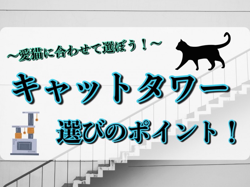 【 グッズ紹介 】運動不足やストレス解消に！キャットタワー選びのポイント