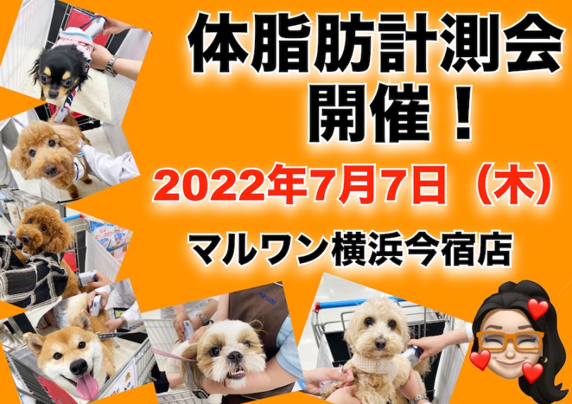 イベント情報 7月7日 木 七夕の日はワンちゃんの体脂肪計測会 マルワンblog ペットショップ マルワン 小さめ子犬 美形な子猫 初心者安心のサポート