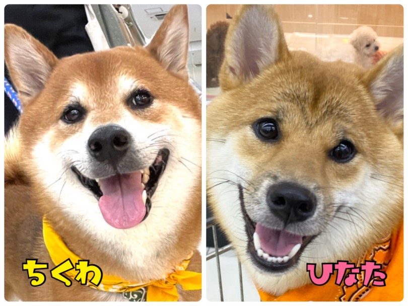 可愛い笑顔♡ | 大倉山チャレンジ365  6月の結果発表 - 横浜 大倉山店