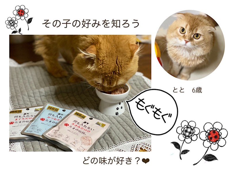 スタッフオススメフード！ | 猫さんの気になる食べ飽き・食べムラには理由がある！ - 横浜 港北ニュータウン店