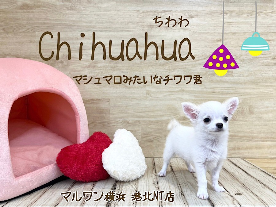 67047336f8328b846cf26605351459