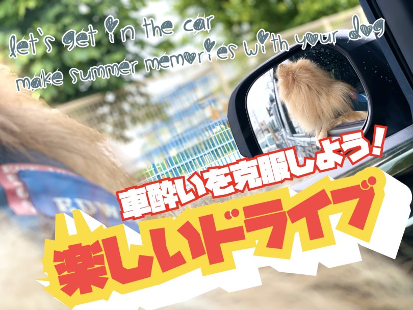 【 車酔い 】車酔いを克服して夏休みにドライブを楽しんじゃおう！(松島体験談)