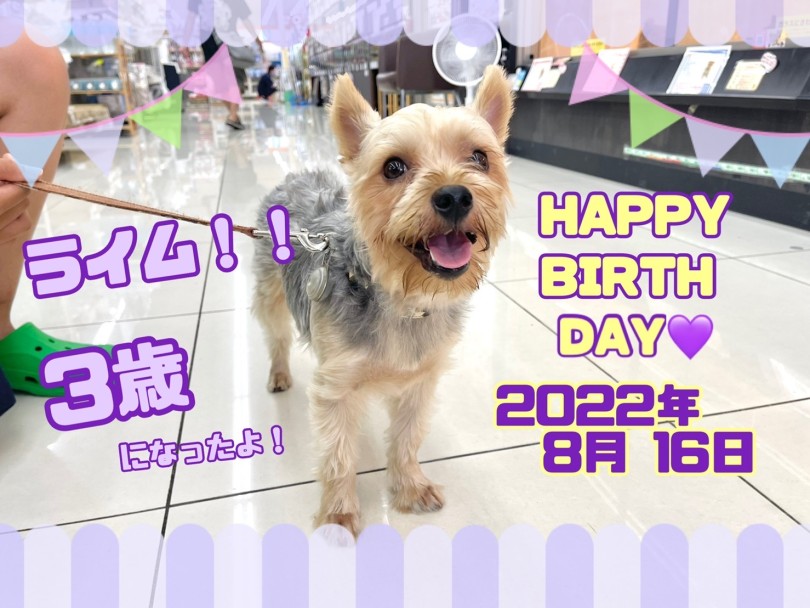 8月16日ライム3歳のお誕生日おめでとう！ | 大倉山365チャレンジ 8月結果発表 - 横浜 大倉山店