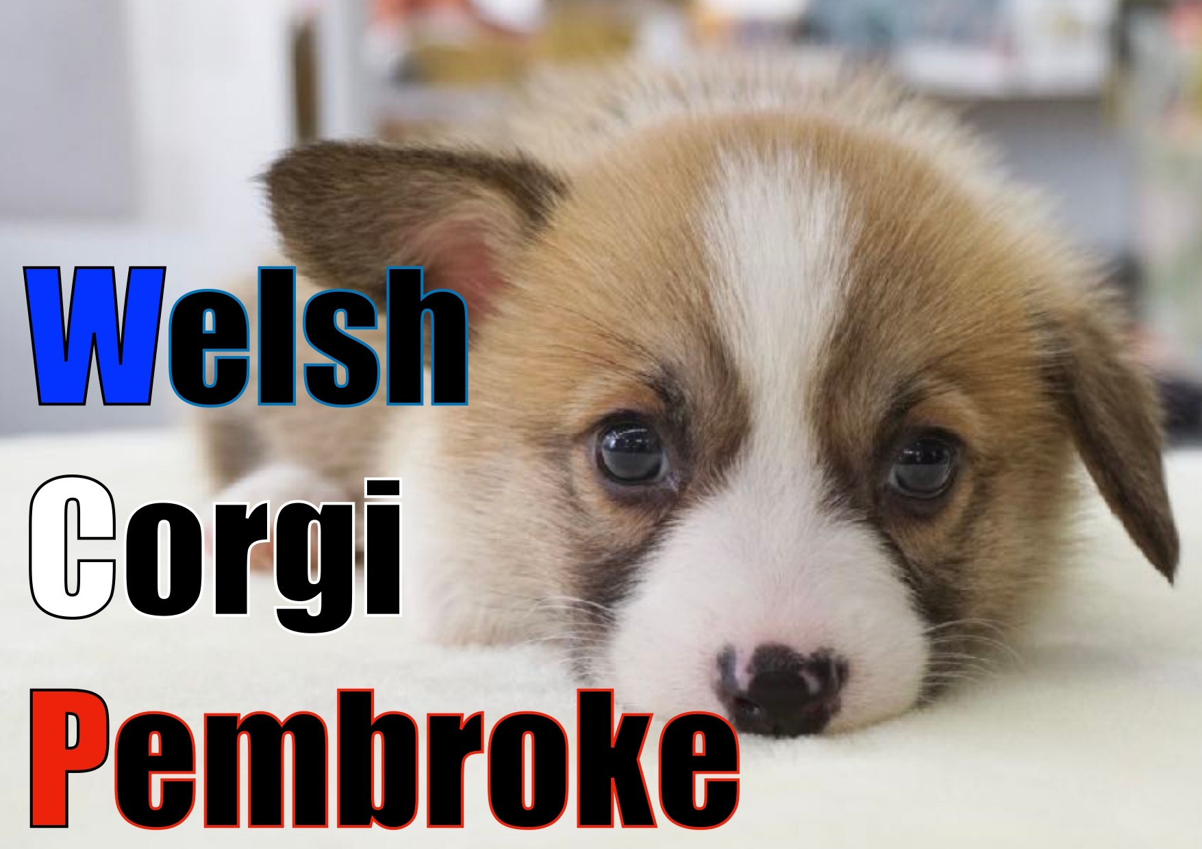 454233a2a7bfcbb5f95c78cdffbd6c