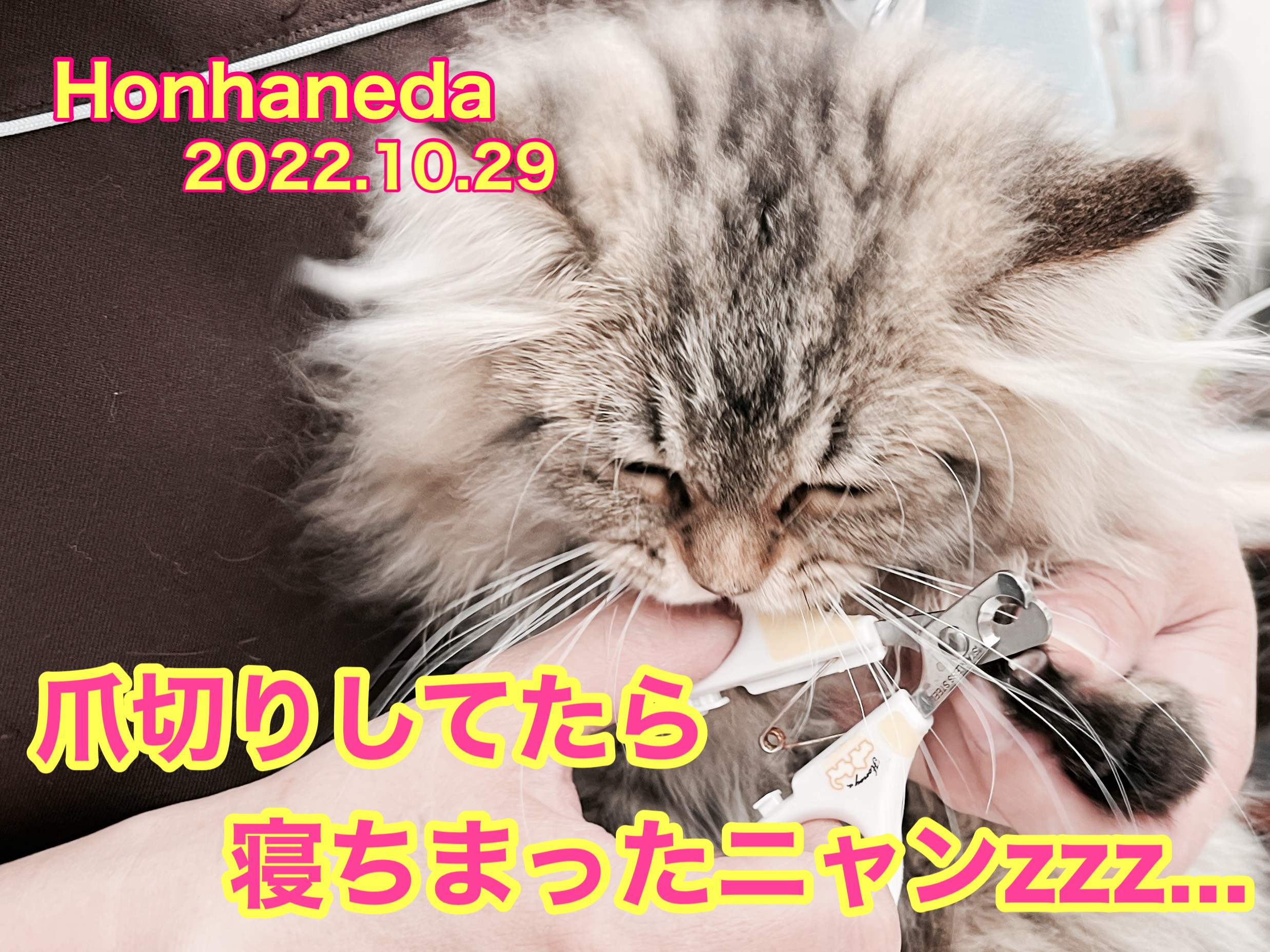 7940785ae4e34ffadeb6eab62cb74c