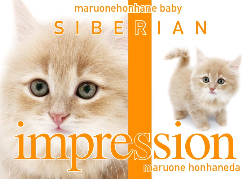 b7efbd7a6a28699f3f9651f3e25e2f