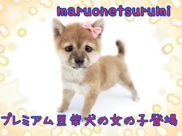 359d19ab7eb1a7d5fe6cbfa59a744f