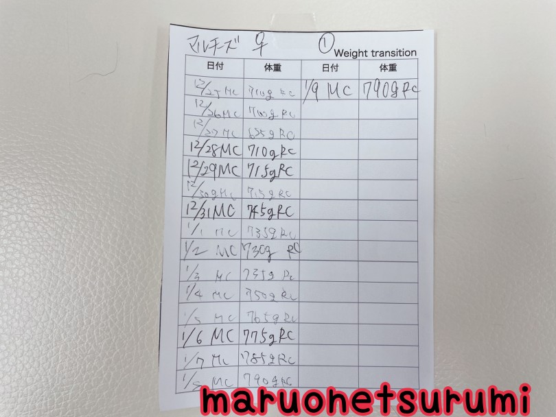 マルちゃんの体重測定表 | マルチーズ （07-6） - 横浜 鶴見店