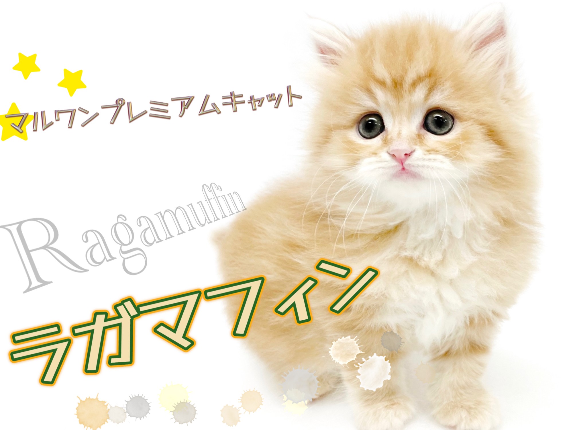 #126 天然北米産マホガニ-製猫 126 天然北米産マホガニ-製猫 OliveHome on X