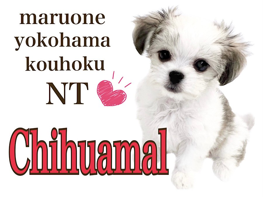 699053804748e6f5d7d5947e47ea39