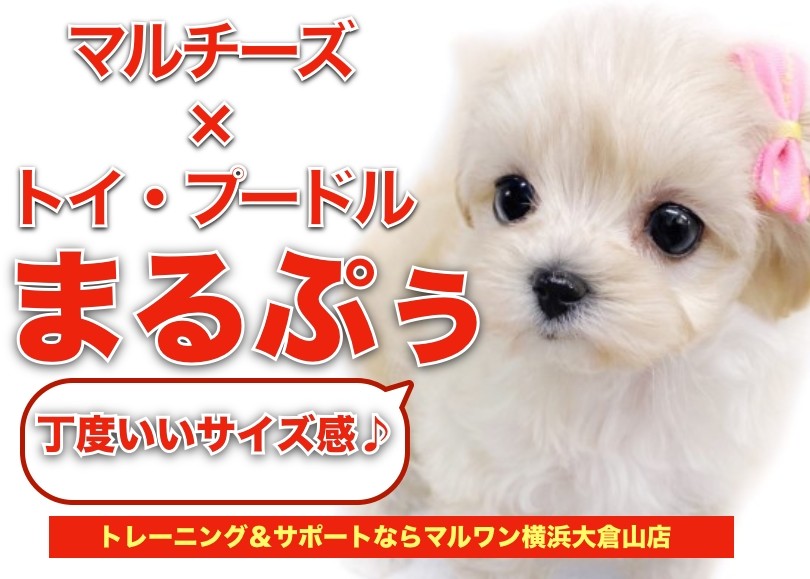 7285d0871af0fe6fec6a498fbffaae