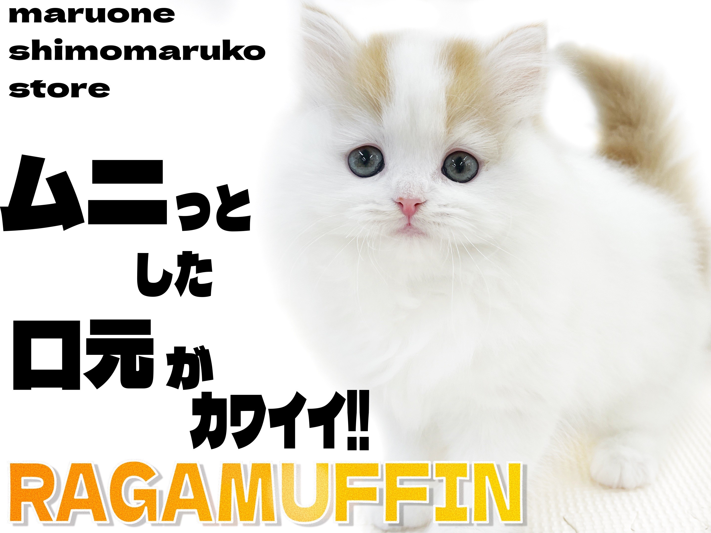 f8914378ff9e923da7c24035602535