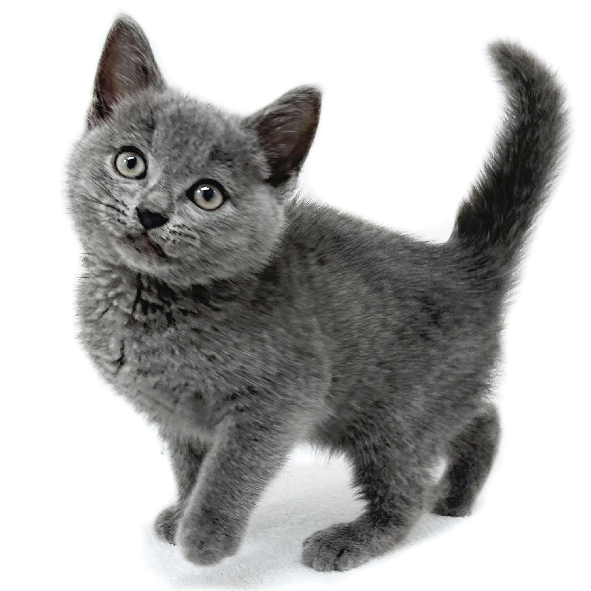 fae9eb8cf16e87fc6896c10e7c1cd8