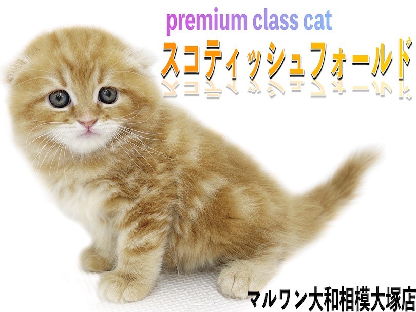 e65eab932e029dcc4e25c7c594e1ba