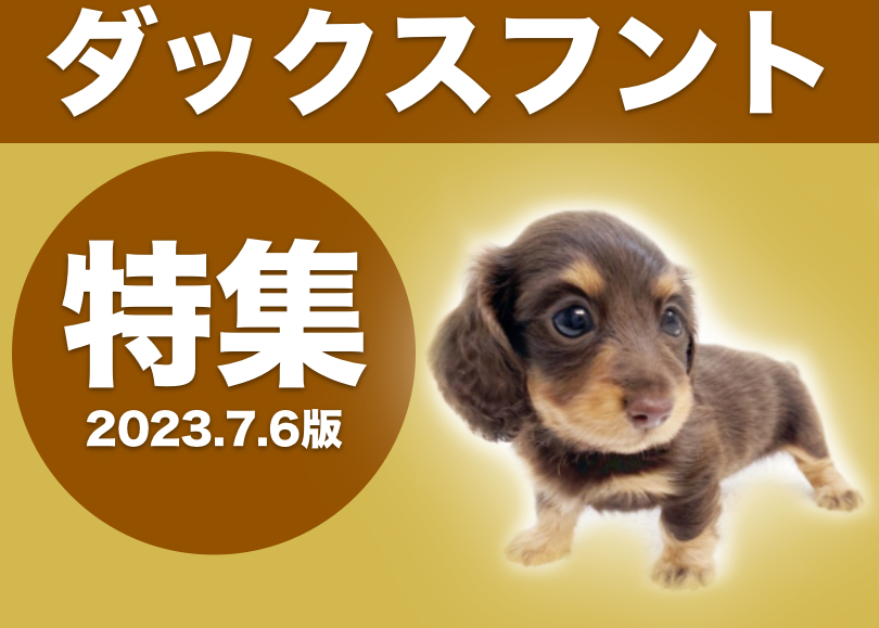 ダックスフント特集 】7/6現在在店中の胴長短足の大人気犬種！ダックス