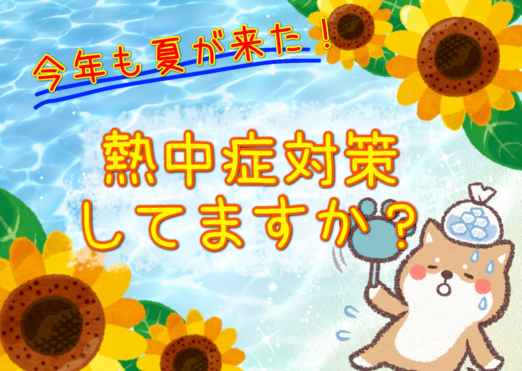 サマーシリーズ、被るだけマリンカラー(水色ストライプ)わんちゃん猫ちゃん用 Amazon.co.jp: 【のびねこ 部活シリーズ サッカー】さっかー部