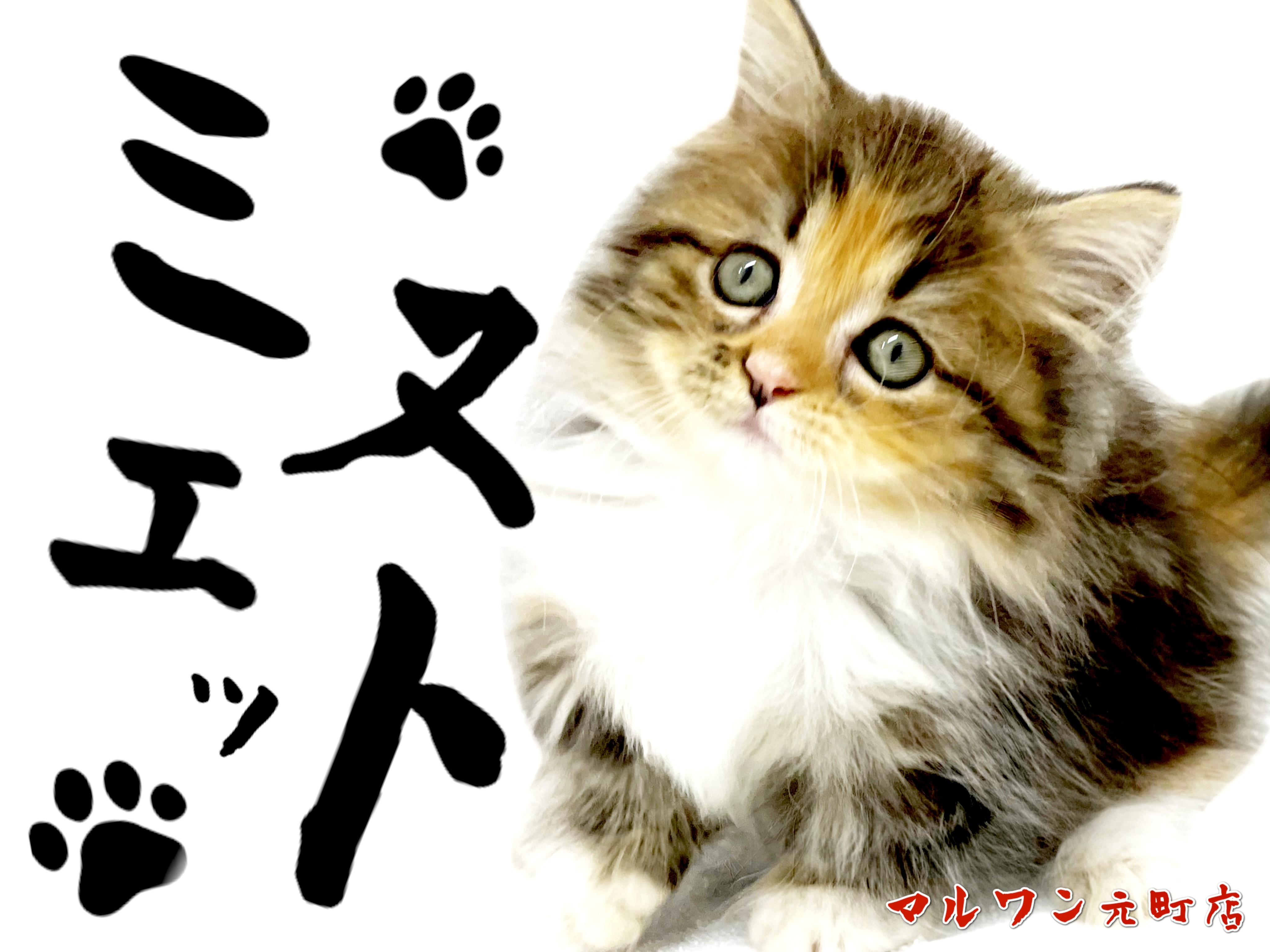 418faa163ab7c37c4c2f74b52b36fe