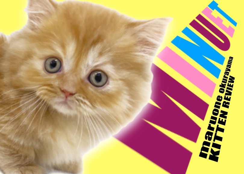 ff8240cfcf893ed0ea17e9e98c6aea