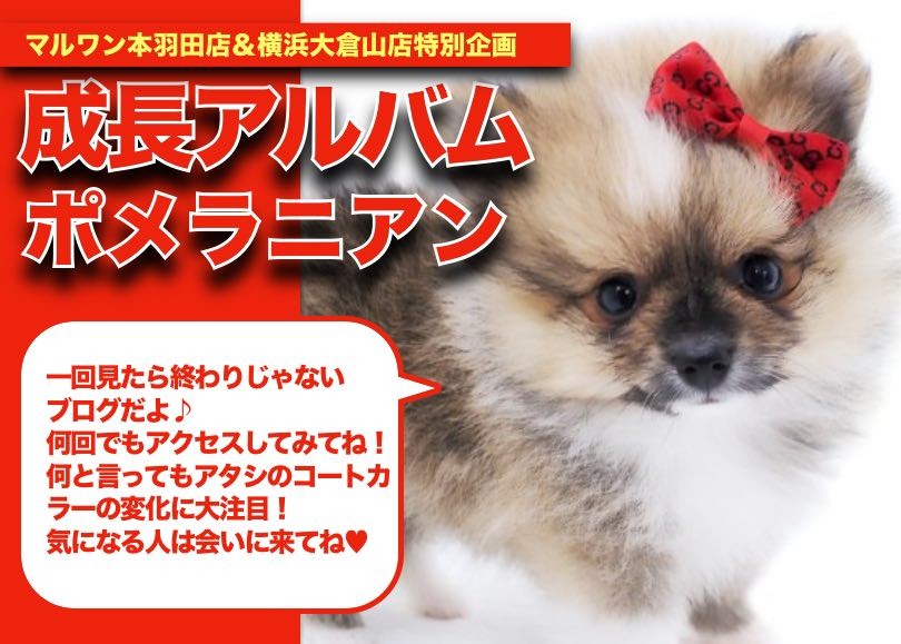 44c46bce0550896f016f2491d8fdeb