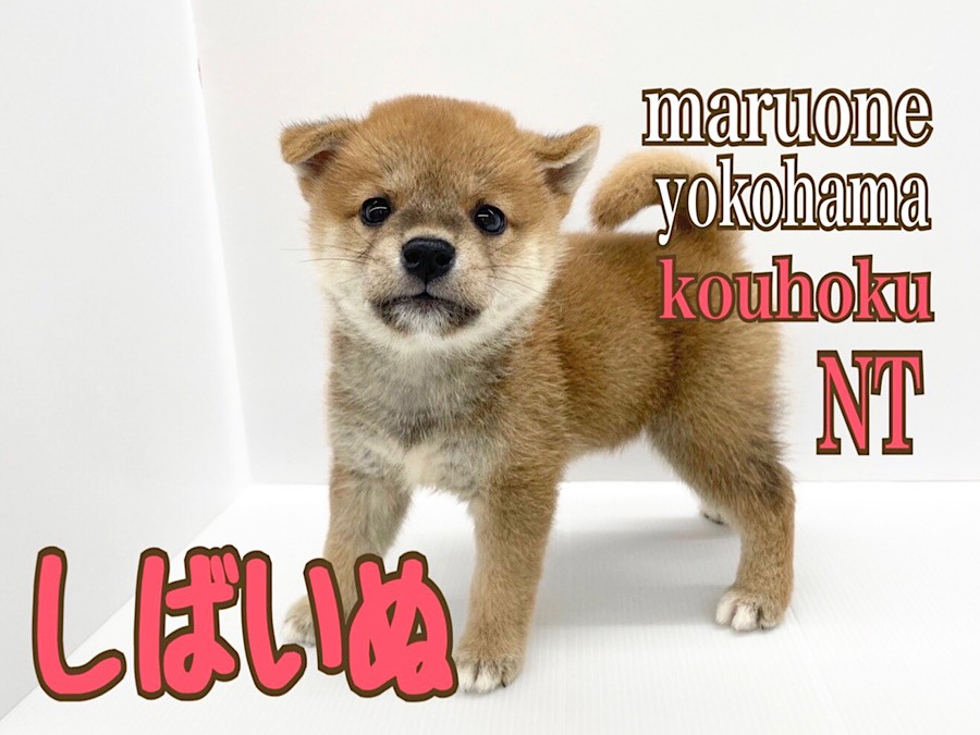 7caee5fa7613bceec2df5083a54275