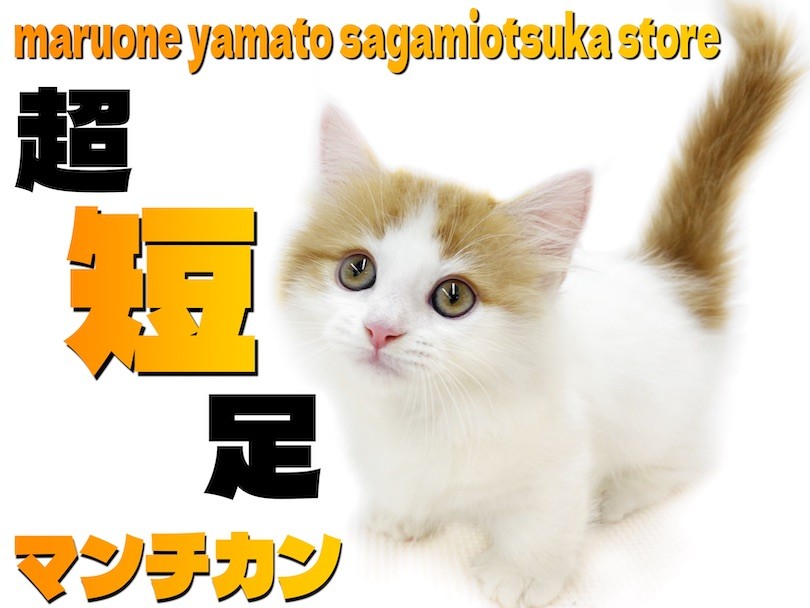 993bf6550b16696a072685fefe812d