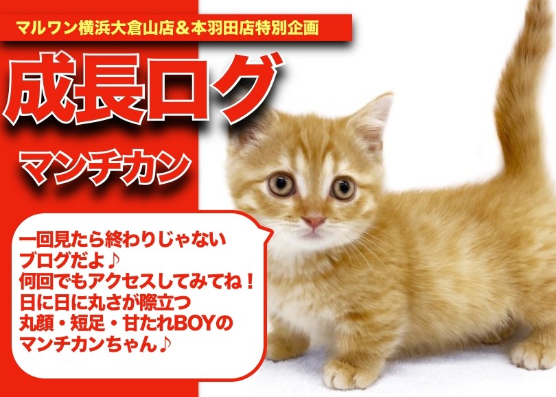 a1bfebd6f8a91deafdb2289ac539ea