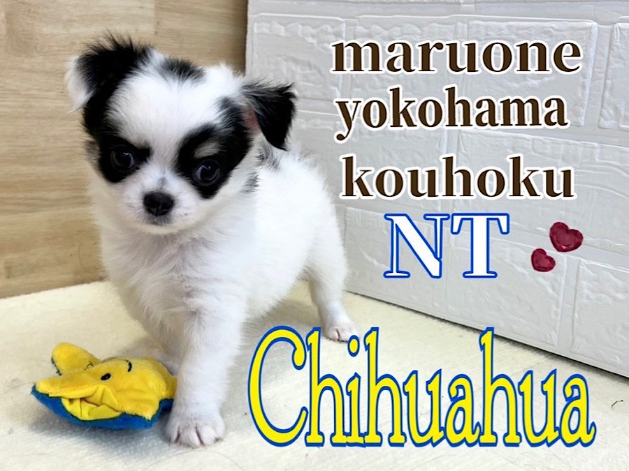 fc489cabd80e641f43ae51d3ab9868