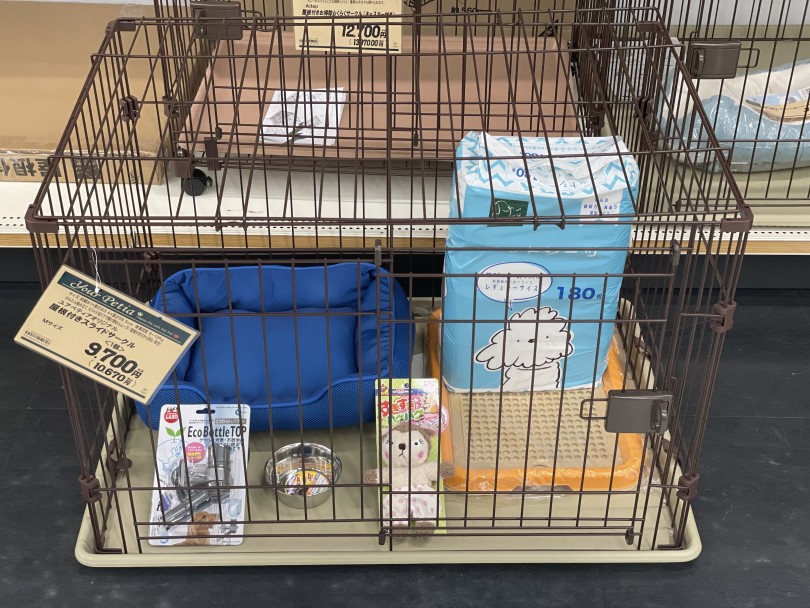 飼い始める方へのお勧めセット（スターターセット） | 柴犬 （07-64） - 横浜 鶴見店