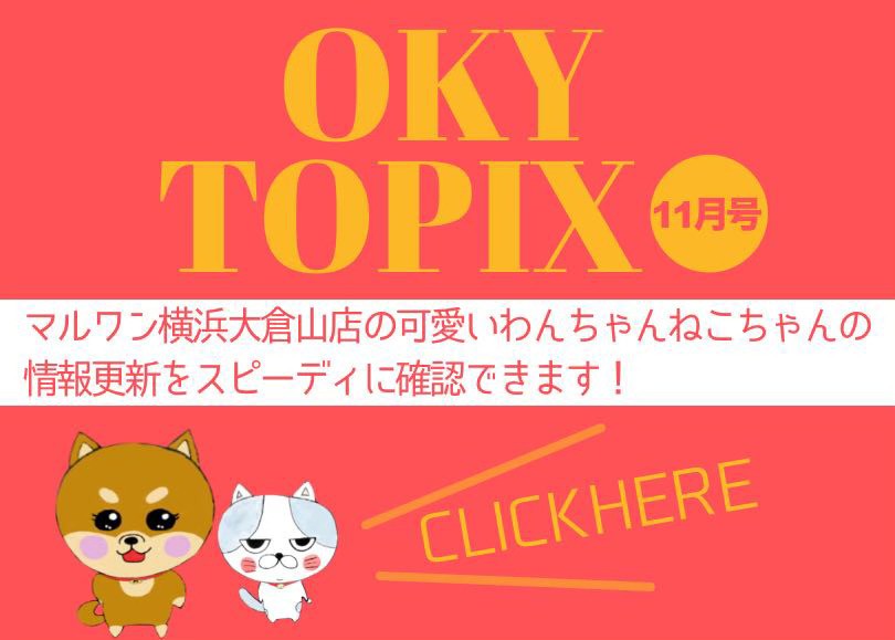 OKURAYAMA トピックス11月版】マルワン大倉山店の11月の情報配信を確認