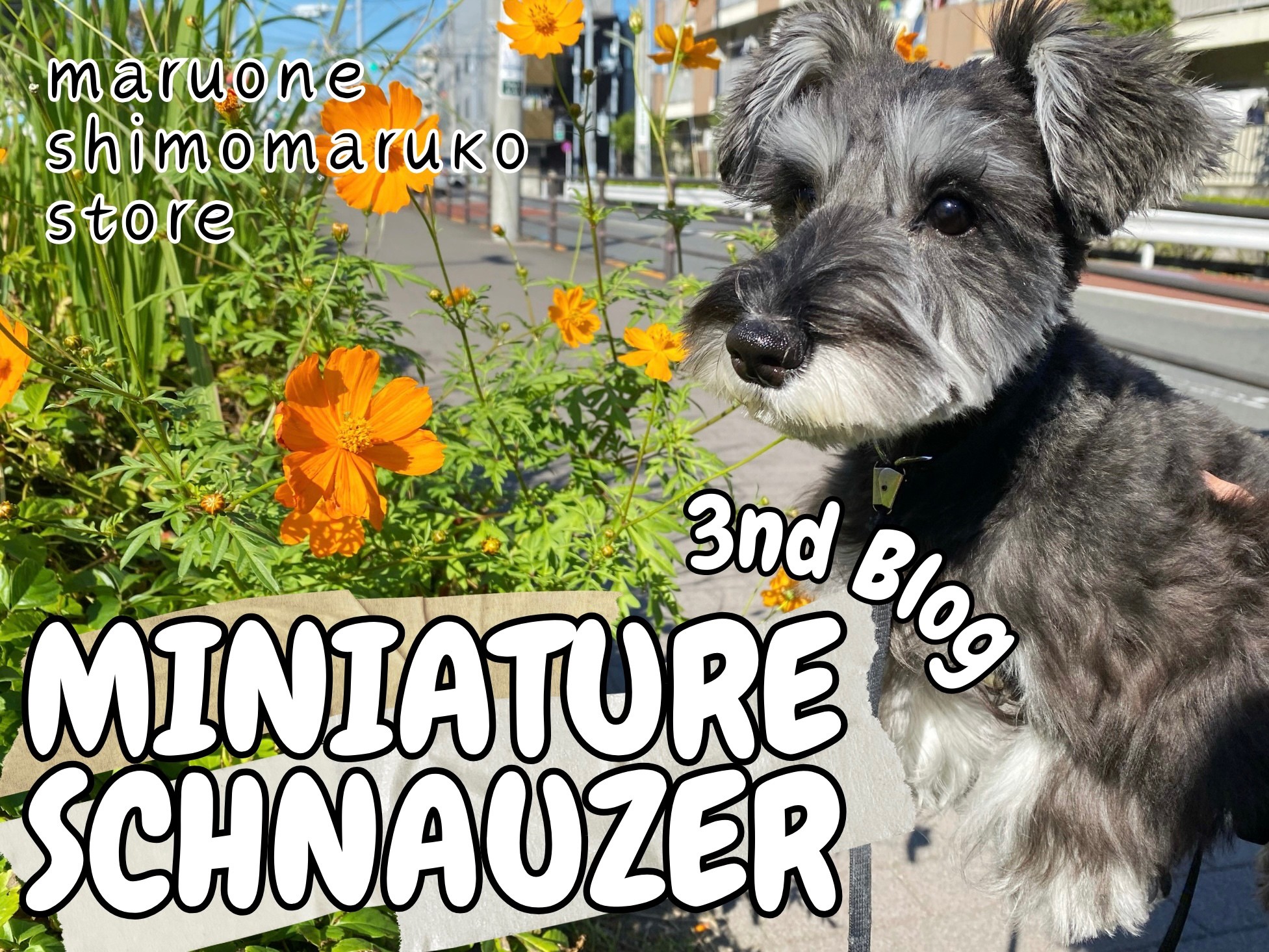 472d20012945740d3830b7fff0473c