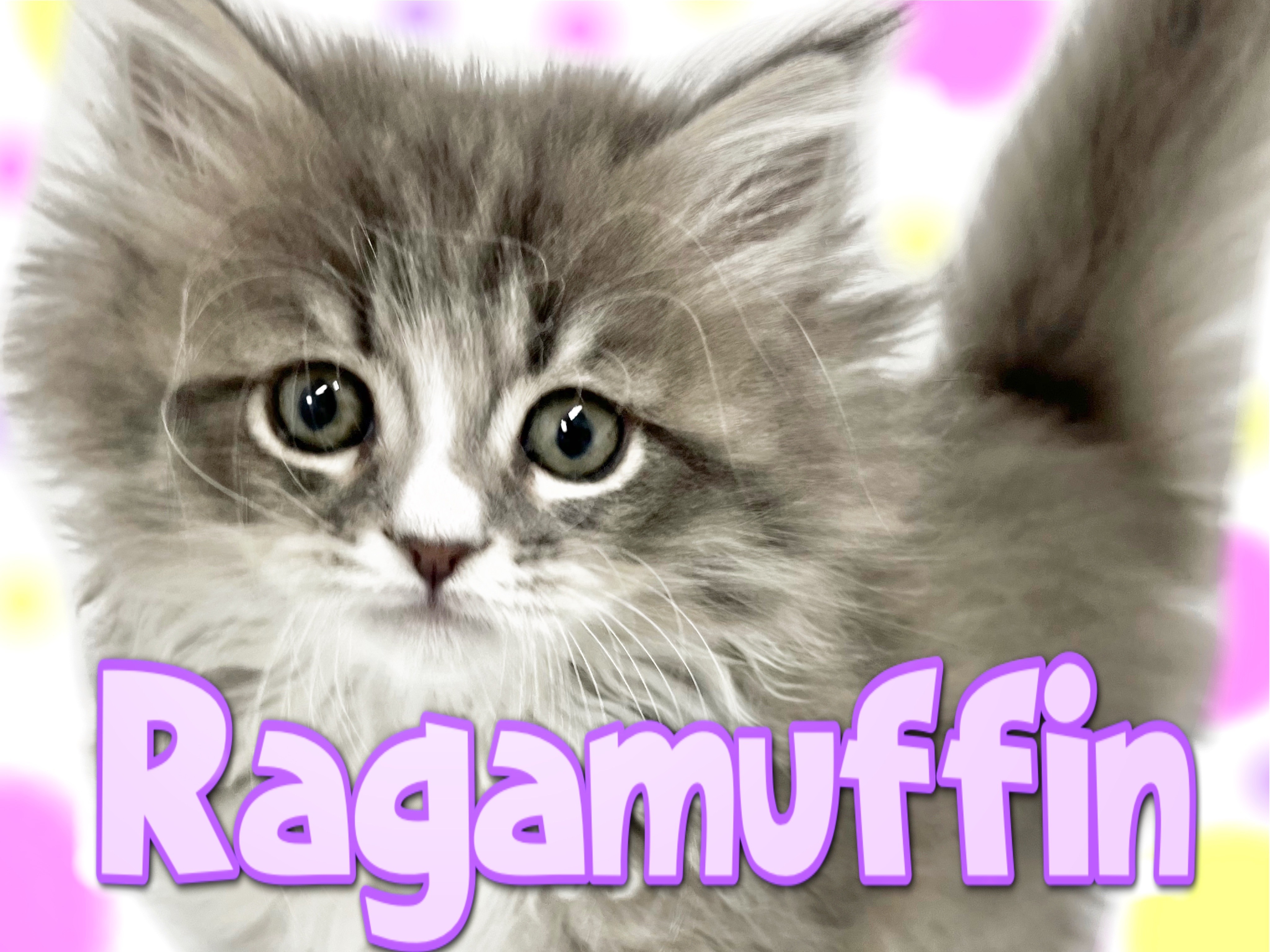 5cbfa262ed35f980f2dc4418363506