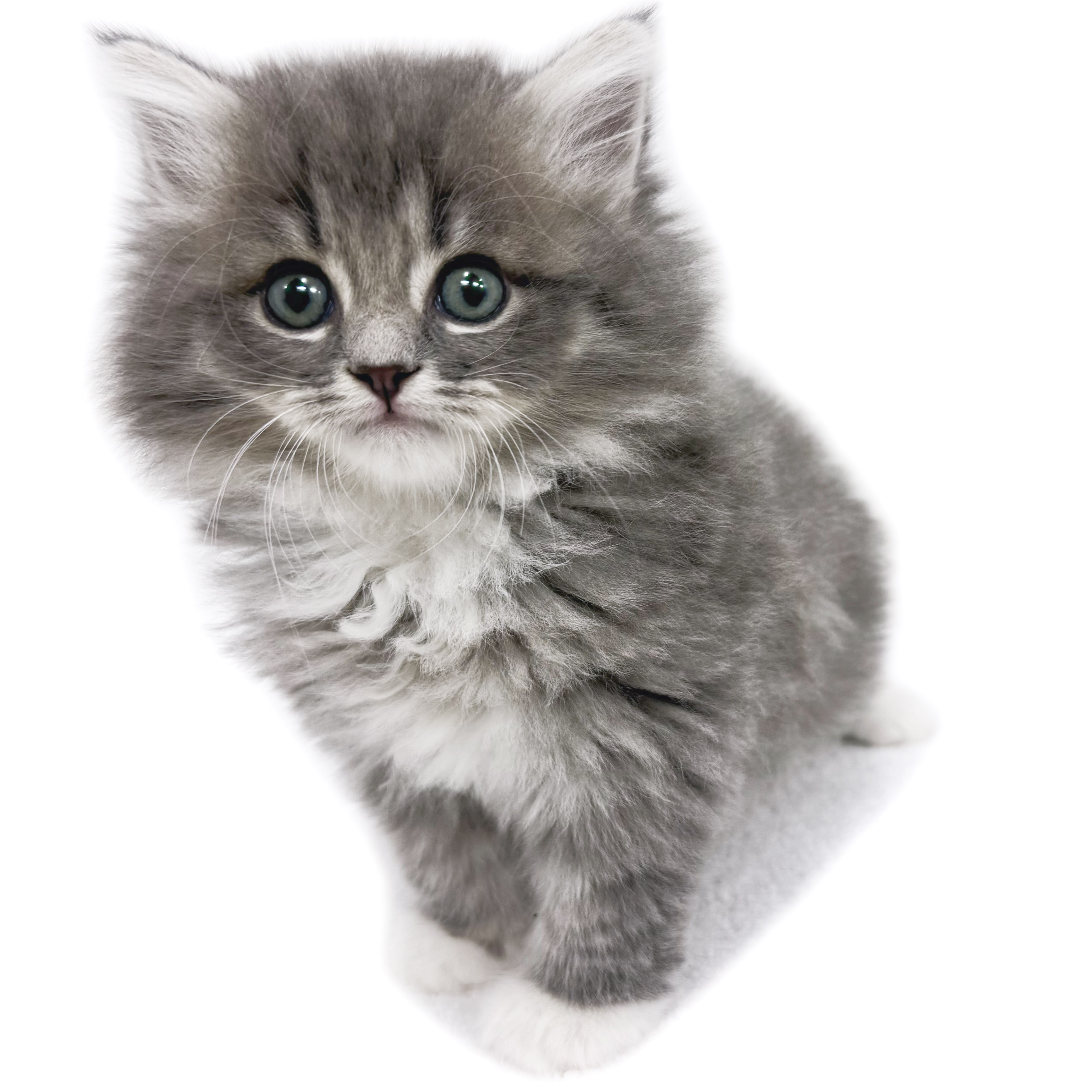 cc3a3f1b87b5ba54e6d1ec166139ec