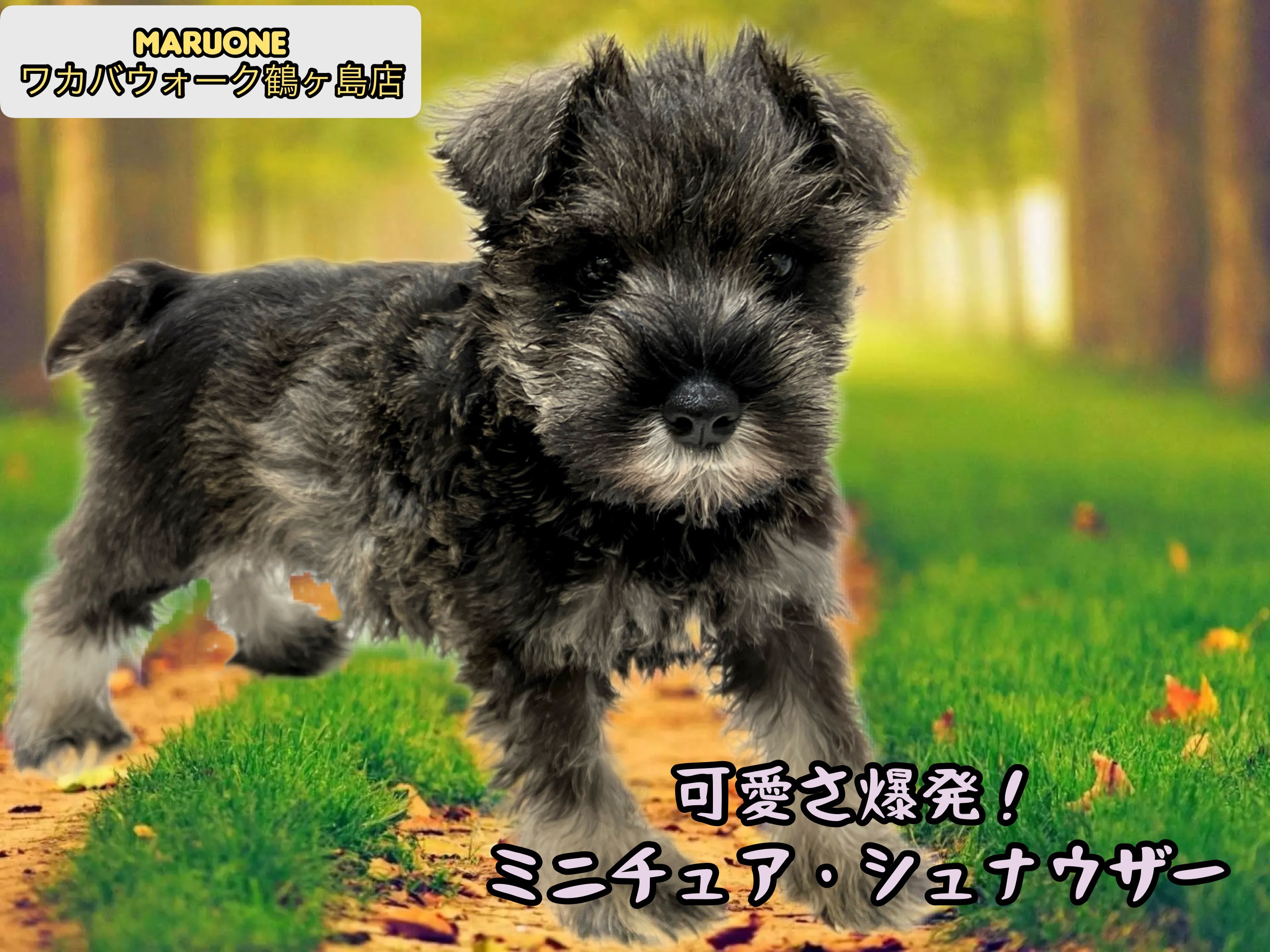 d9af8b748c6a2b56fb8ac7fde5abea