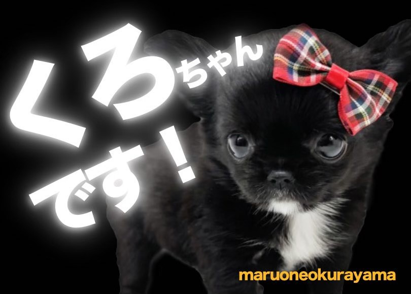 d9b63751f33723ab2422b68aae2665